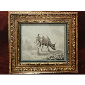 Lovely 17th Century Ink Drawing Of A Cow by Torelli