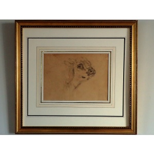 Charming Calf Head Pencil Study By J Brascassat